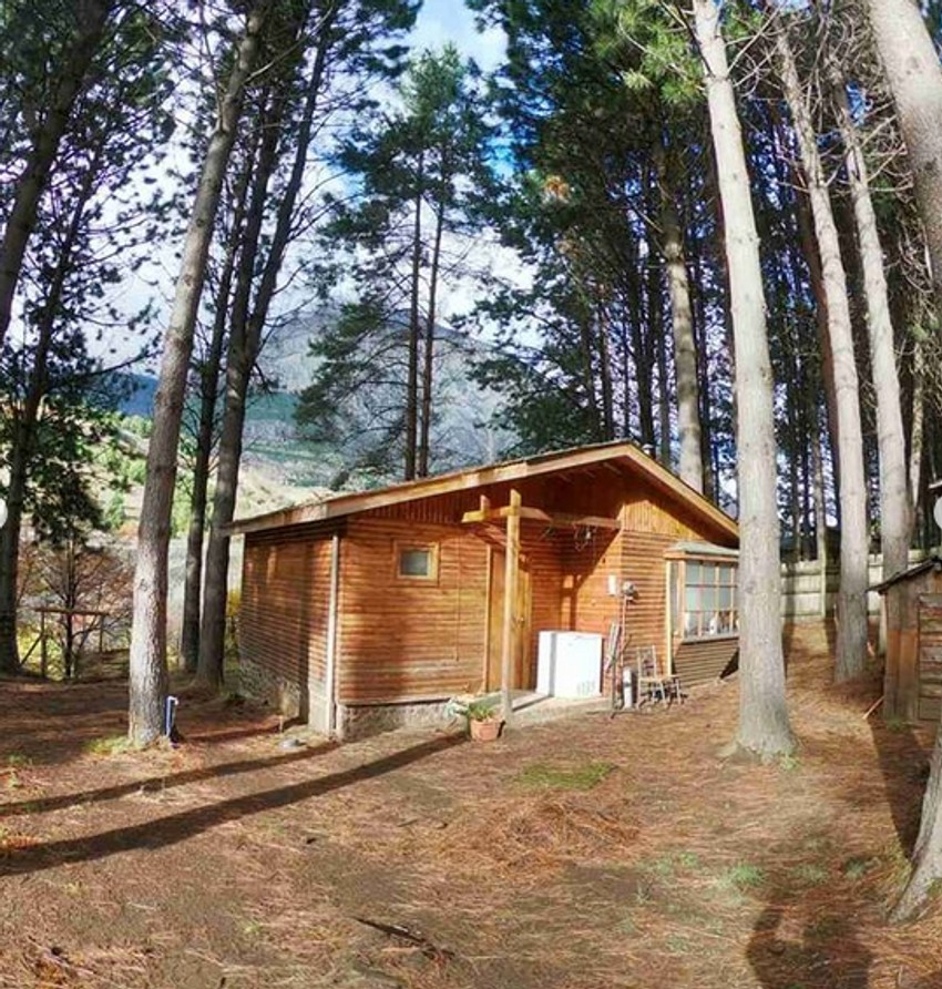 Kolibica u šumi gde je Snežana mesecima boravila zbog korone