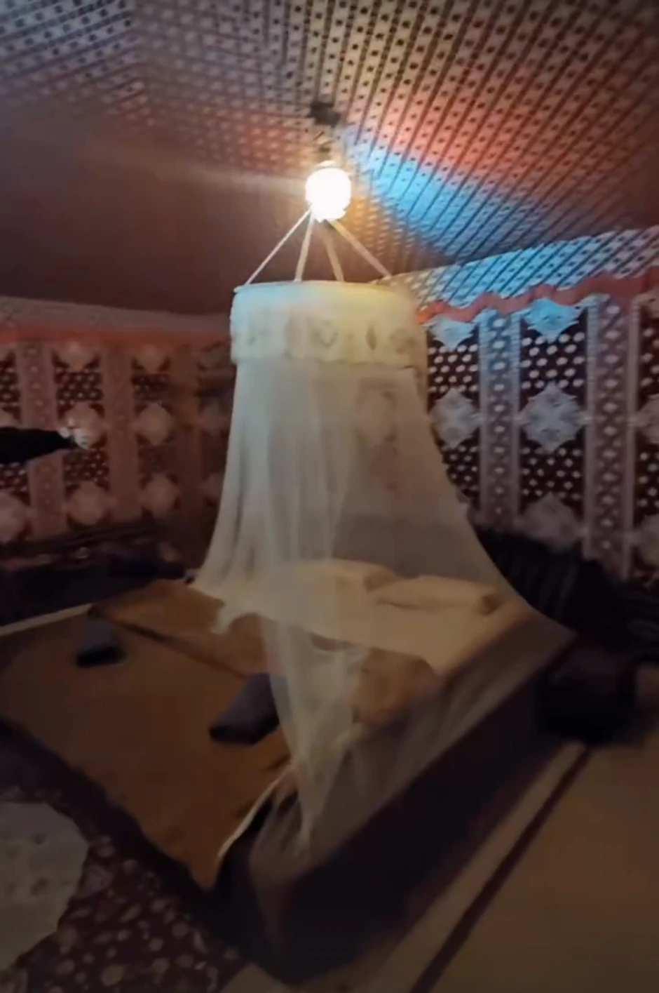 Dragana Mirković, objava