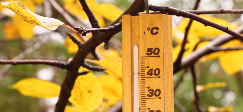 Temperatury w górę! Prognoza pogody na czwartek, 30 października