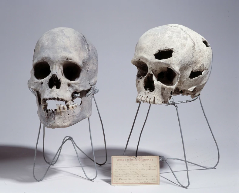 Ludzkie czaszki znalezione na terenach cywilizacji Azteków