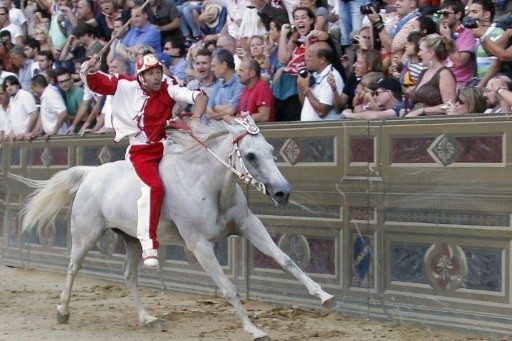 PALIO SIENA