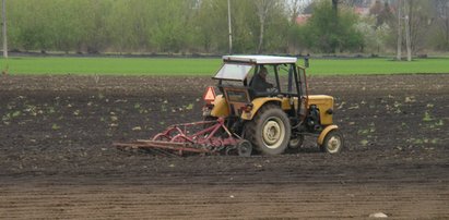 Zakażą kupowania ziemi mieszczuchom! Na tym nie koniec...