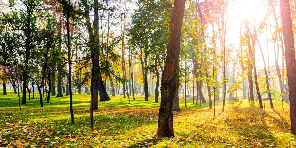 Pierwszy dzień jesieni