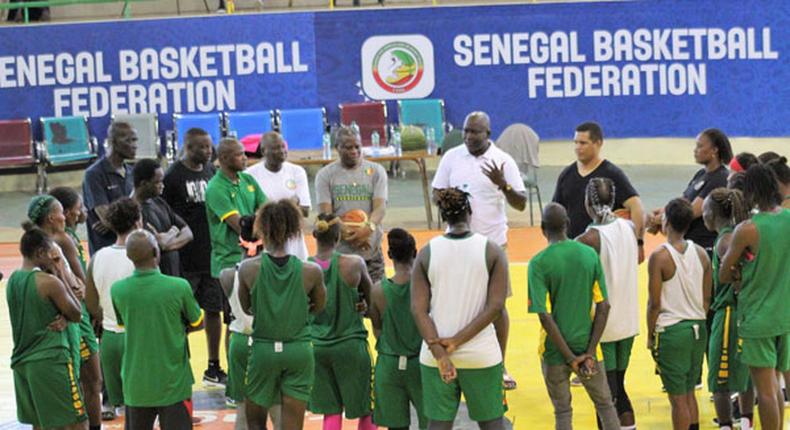 Lionnes du basket