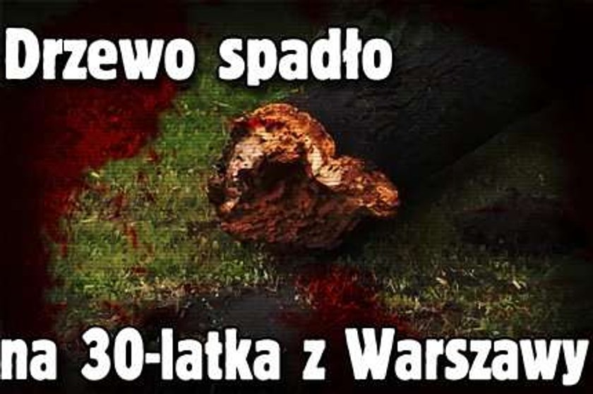 Drzewo spadło na 30-latka z Warszawy