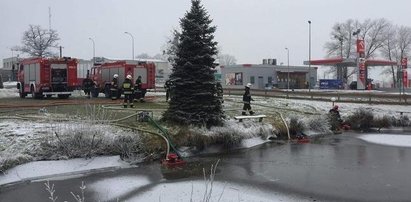 Strażacy gasili pożar restauracji. Właściciele wystawili im rachunek na 380 tys. zł