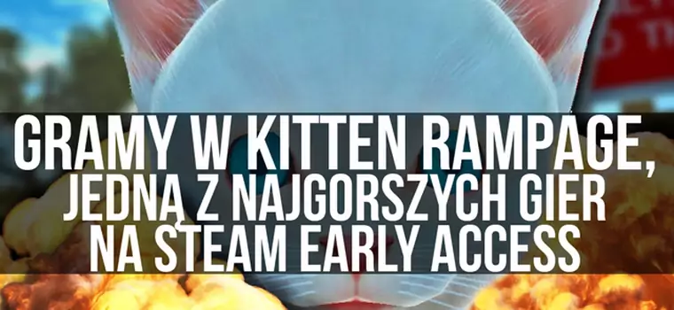 Gramy w Kitten Rampage, jedną z najgorszych gier z Early Access
