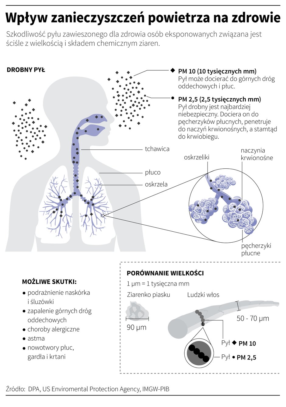 Wpływ smogu na zdrowie - infografika