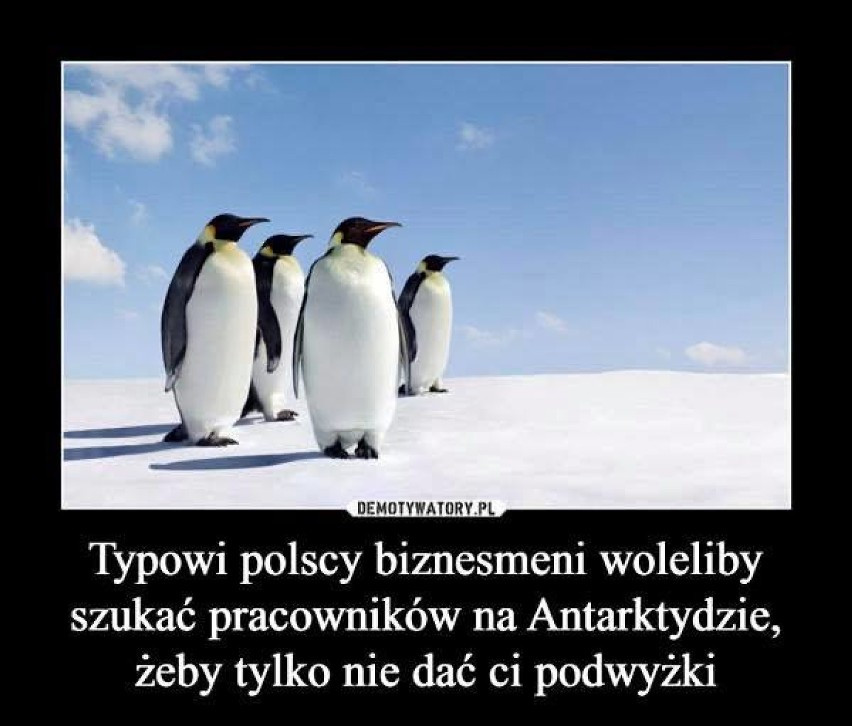 Najlepsze memy o podwyżce. Czasami to śmiech przez łzy