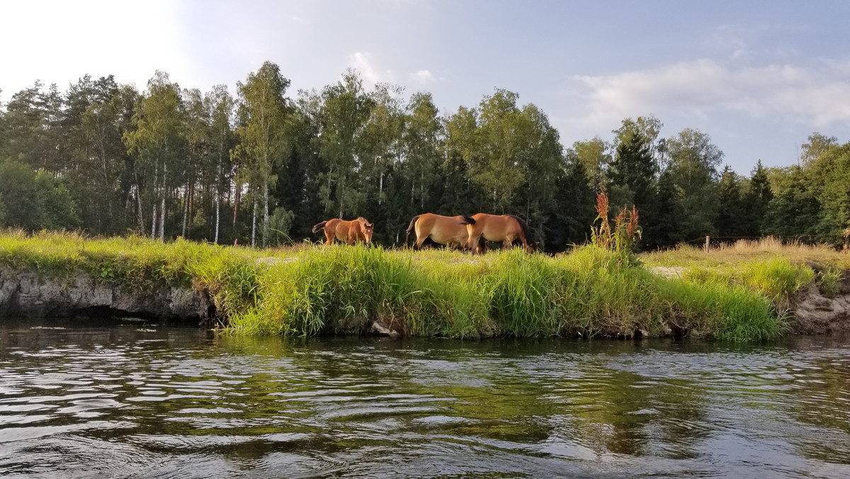 Myszyniec – z wizytą na Kurpiach 