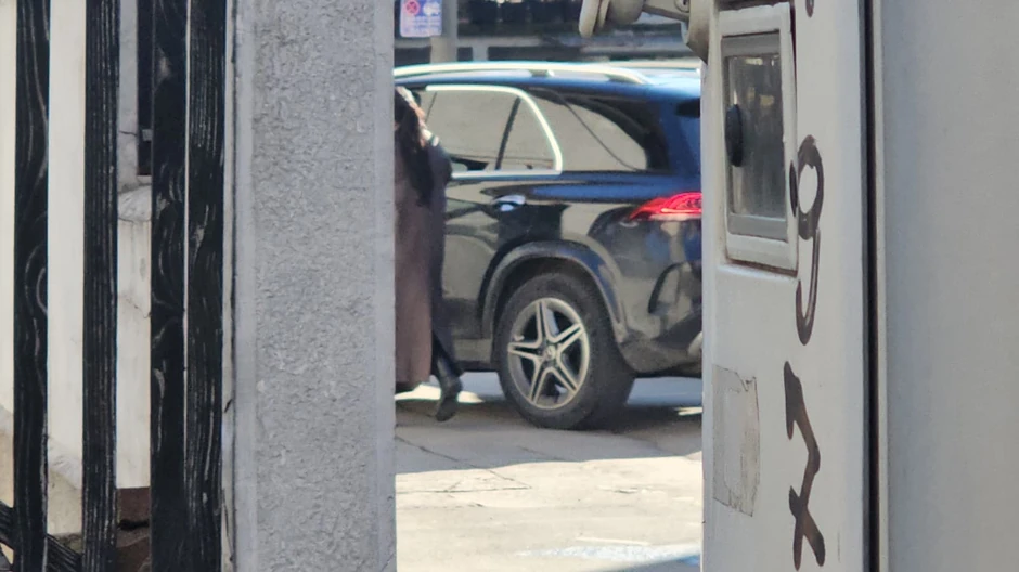 Trudna Edita Aradinović