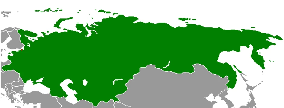 Ruska demokratska federativna republika