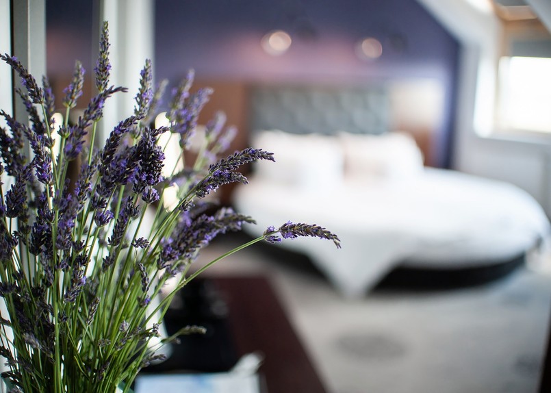 lavendowy