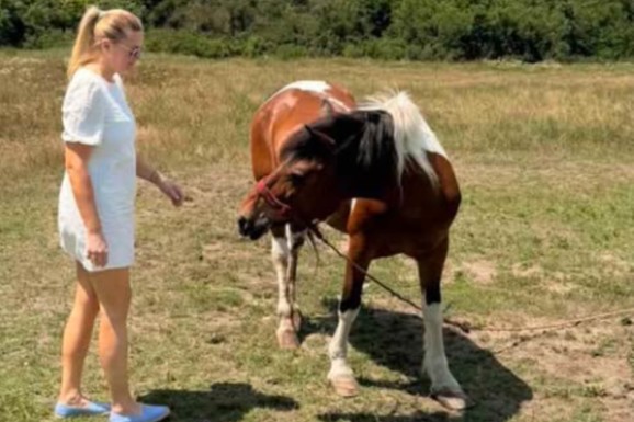 GRUOVA UDOVICA NAPUSTILA BEOGRAD Danica Andonov u miniću, pokazala kako zaista uživa: Ovde je PRONAŠLA MIR