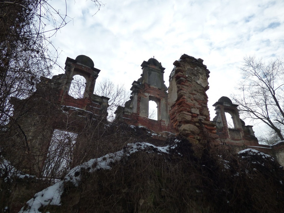 Ruina pałacu, luty 2017
