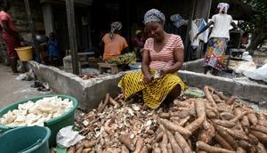 Mangez ces 5 aliments africains et vous vivrez plus longtemps/Manioc