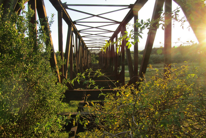 Most Osetno – zrujnowany most kolejowy nad Baryczą, w miejscowości Osetno na Dolnym Sląsku