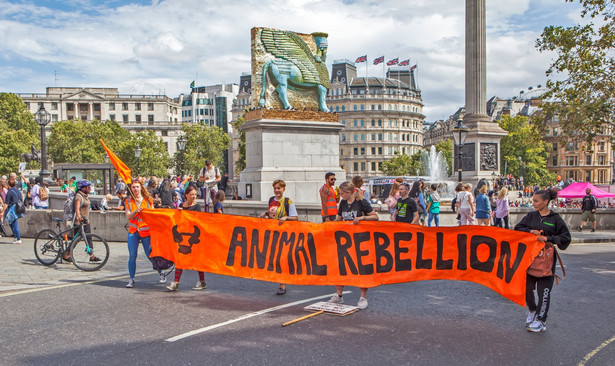Protest ekologów w Wielkiej Brytanii