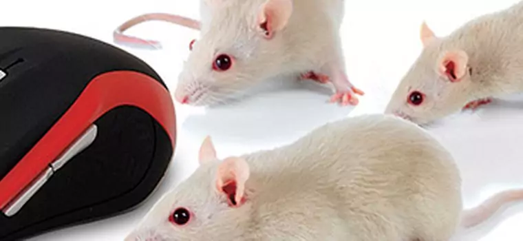 Test porównawczy 16 niedrogich myszy bezprzewodowych