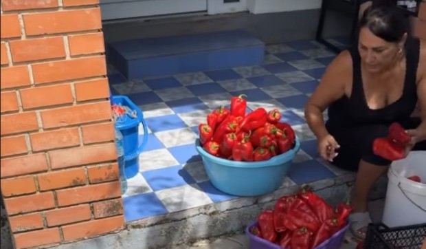Lazići spremaju zimnicu u Brestaču