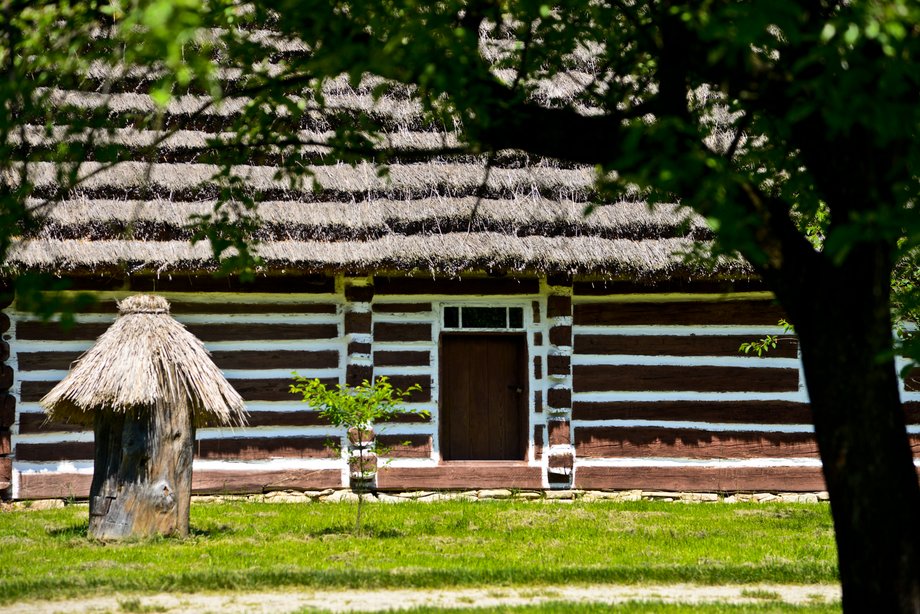 Bieszczady to jeden z najbardziej dzikich i tajemniczych zakątków Polski