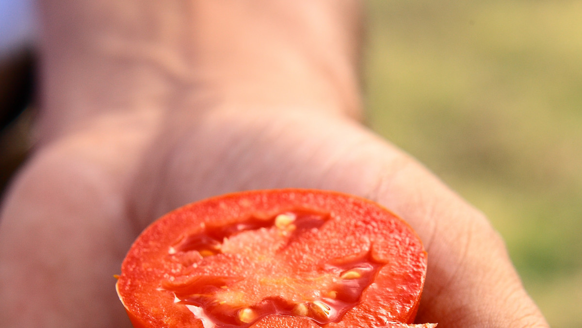 Firma MUTTI to rodzinna przygoda, która trwa od ponad 100 lat - specjalizuje się w przygotowywaniu przetworów pomidorowych. Do produkcji używane są wyłącznie włoskie pomidory, wyselekcjonowane, najwyższej jakości.
