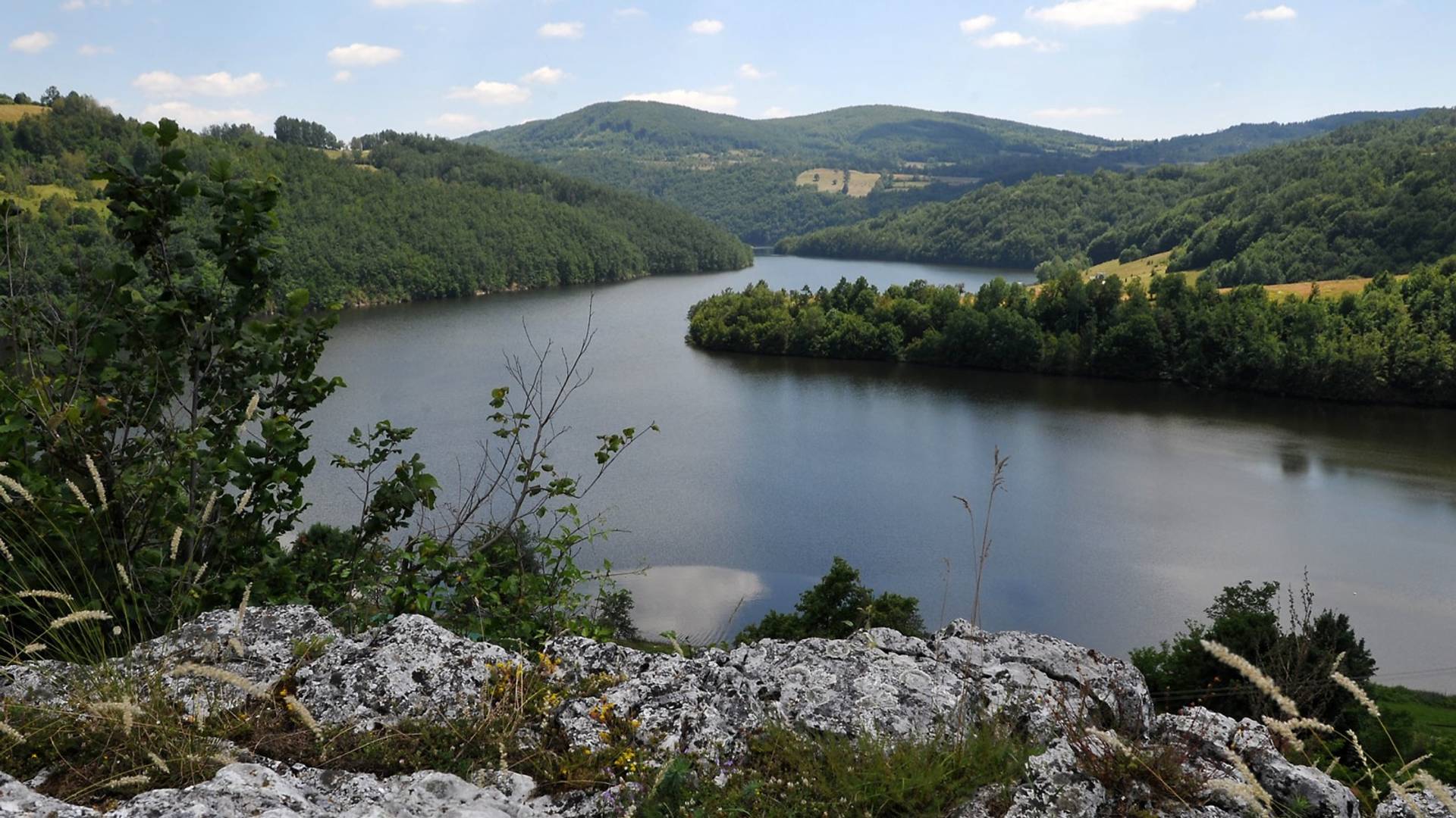 U jezeru kod Užica se pojavile morske meduze