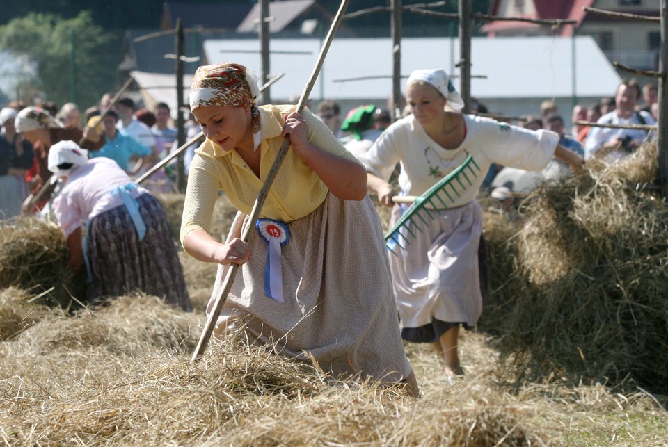 BIAŁY DUNAJEC WYBORY NOJŚWARNIEJSEJ GÓRALECKI