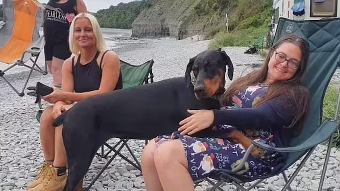 Doberman zachránil majiteľke život.