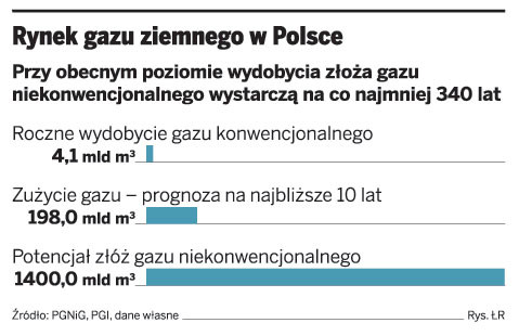 Rynek gazu ziemnego w Polsce
