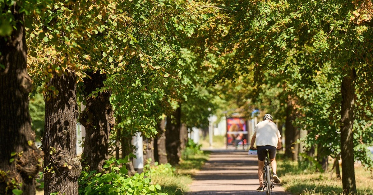 W Kółko Kręcę. Startuje ósma edycja!