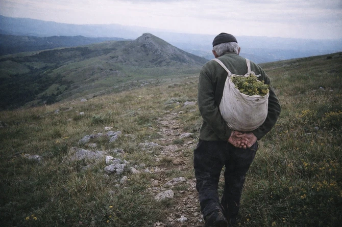 Deda Gvozden na Rtnju / Ilustracija