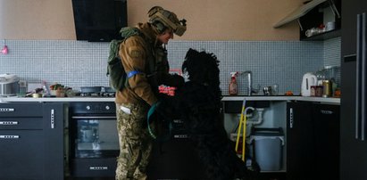 Znaleźli psa w opuszczonym, ostrzelanym domu. Bawaria dostała szansę na nowe życie