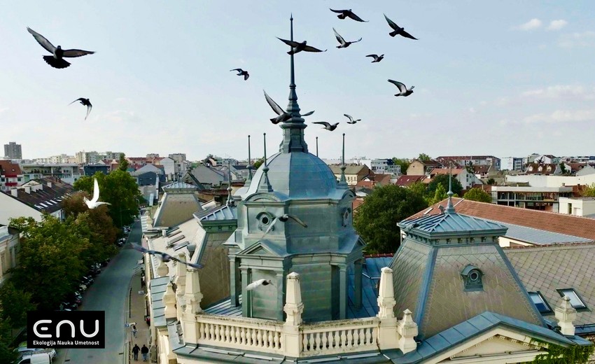 Film "Legati Matice srpske: Matičin grb" 