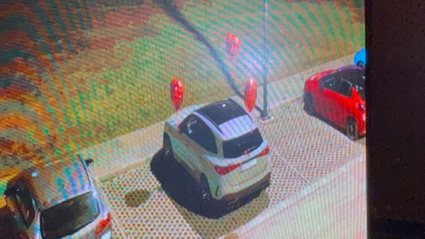 Nadica Ademov automobil