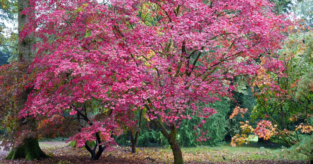 Jest ich trzy biliony. Niezwykły serial już dziś w telewizji