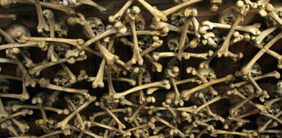 Tysiące czaszek na Dolnym Śląsku. To ofiary strasznej choroby