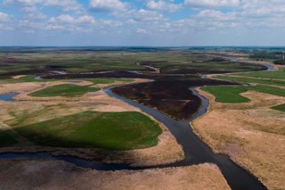 Weto dla trasy Via Carpatia na bagnach