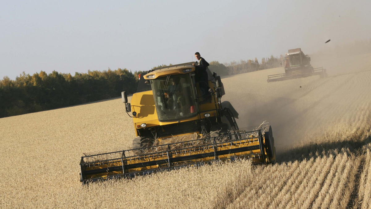 Plony zboża w Rosji były w tym roku niższe o 33 proc. w porównaniu z rokiem ubiegłym z powodu suszy, która dotknęła ponad 10 mln ha upraw, poinformowało rosyjskie Ministerstwo Rolnictwa.