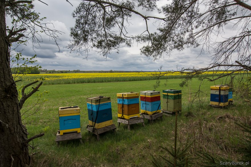 Magiczne Podlasie