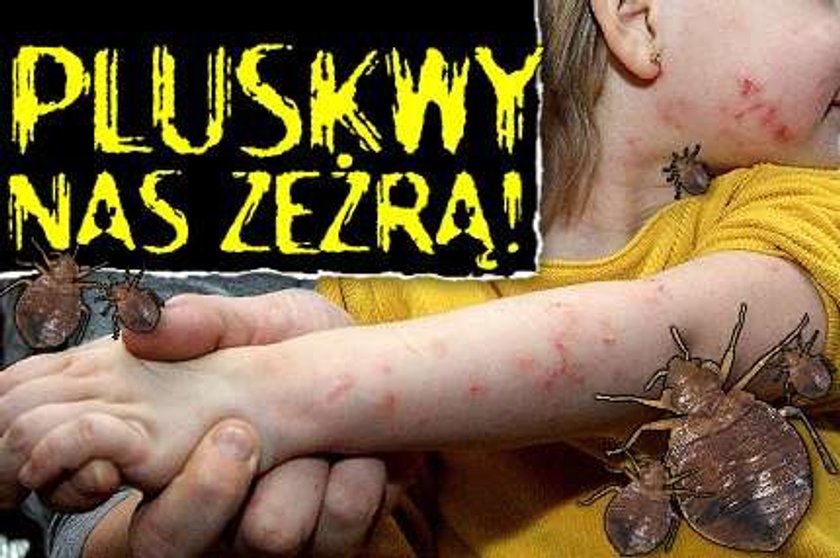 Pluskwy nas zeżrą!