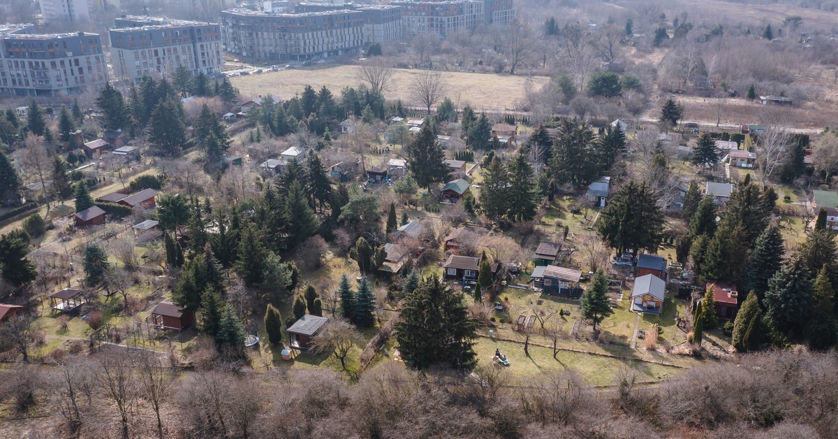 Co rada gminy musi zapisać w uchwale o dotacji dla rodzinnych ogrodów działkowych