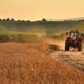 Pracownicy sezonowi w rolnictwie będą mieli ubezpieczenie wypadkowe i chorobowe