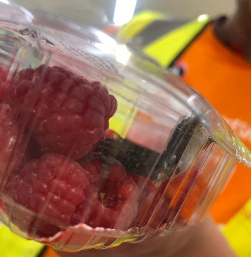Wielka Brytania: Znalazła jaszczurkę w opakowaniu malin