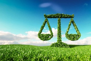 Biznes i środowisko – wrogowie czy sprzymierzeńcy?