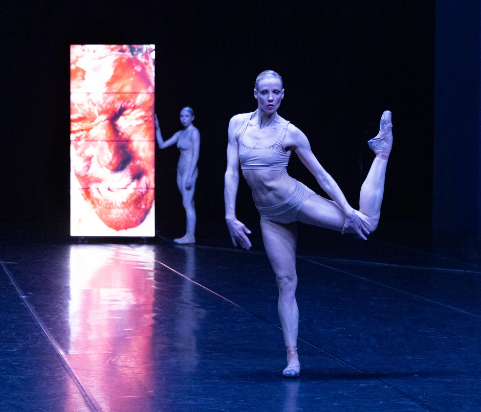 Drezden Frankfurt kompanija igre