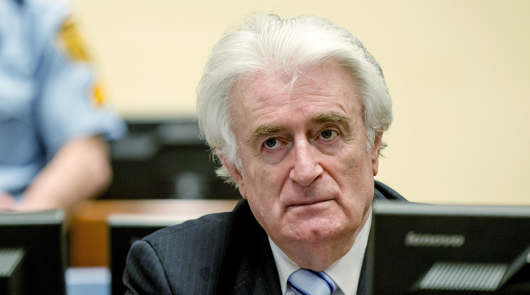 Két éve 40 év börtönre ítélték háborús bűnökért Karadzicot /Fotó: AFP