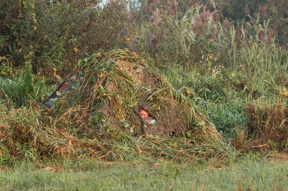 Fotografia przyrodnicza po drugiej stronie lustra