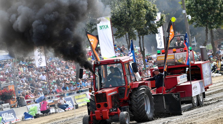 Az győzött, amelyik traktor a leg-nehezebb súlyt
húzta végig a távon