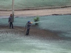 Putin jedzie! A tu trawa nie wyrosła...